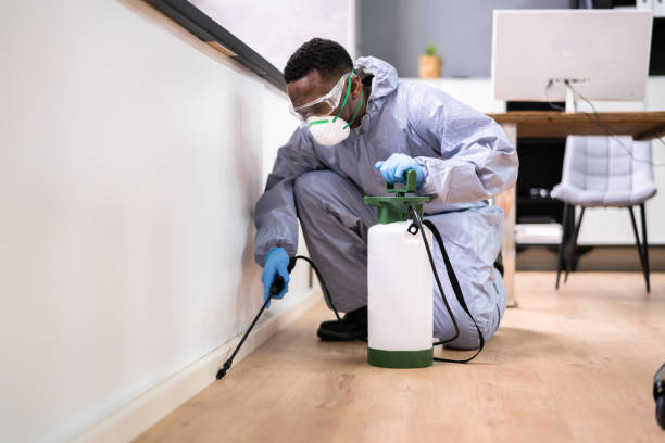 Best Real Estate Pest Inspections  in Houserville, PA